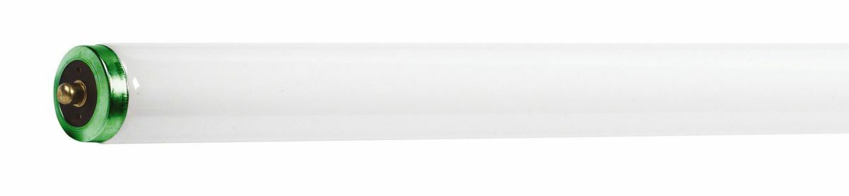 369892 ALTO Fluorescent Lamp, 56 W, 4450 Lumens, 62 CRI, 4100 K, 72 in L