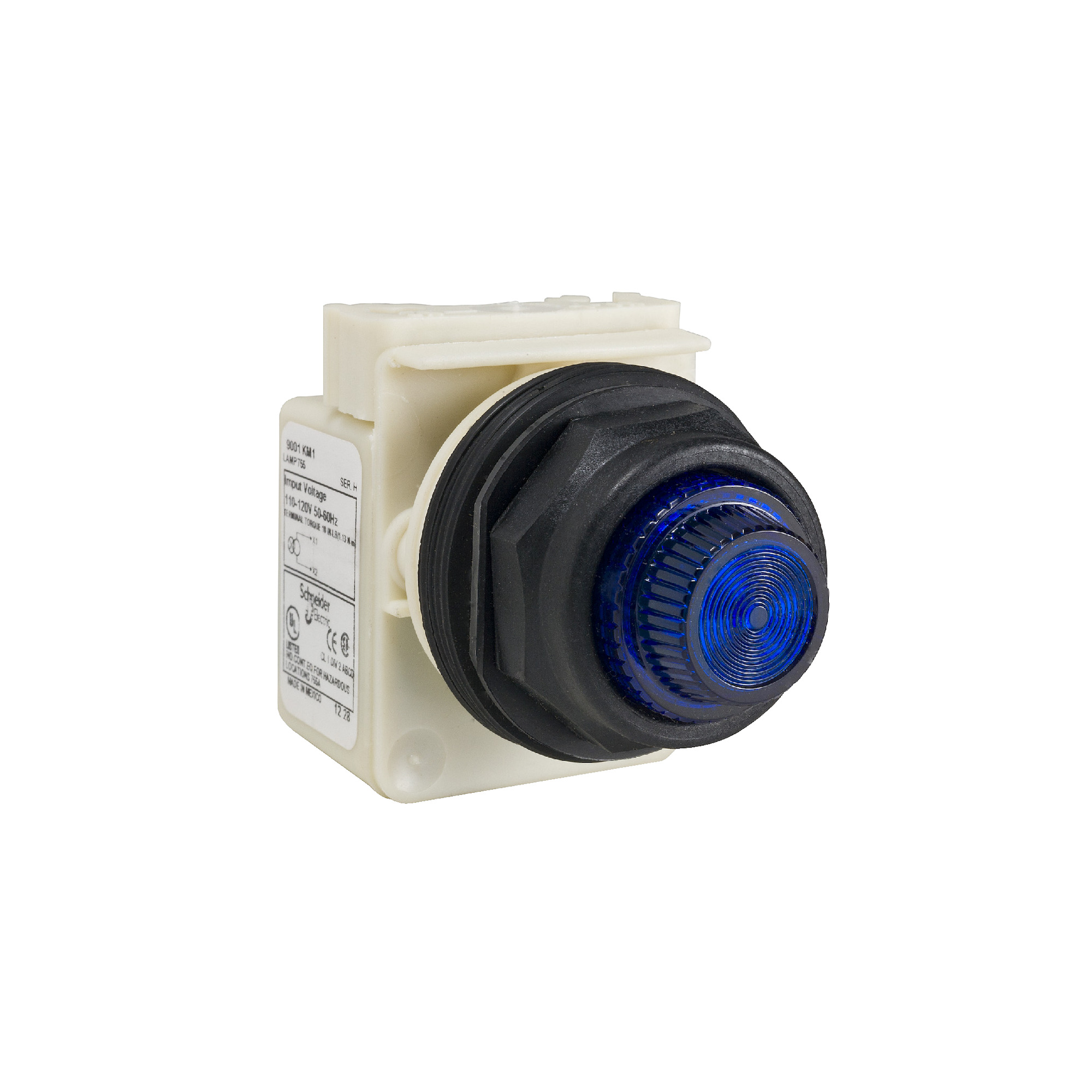 9001SKP38LLL31 Harmony Type SK Standard Pilot Light, 120 V AC/DC, 1.4 VA, Fresnel Lens, Panel Mount