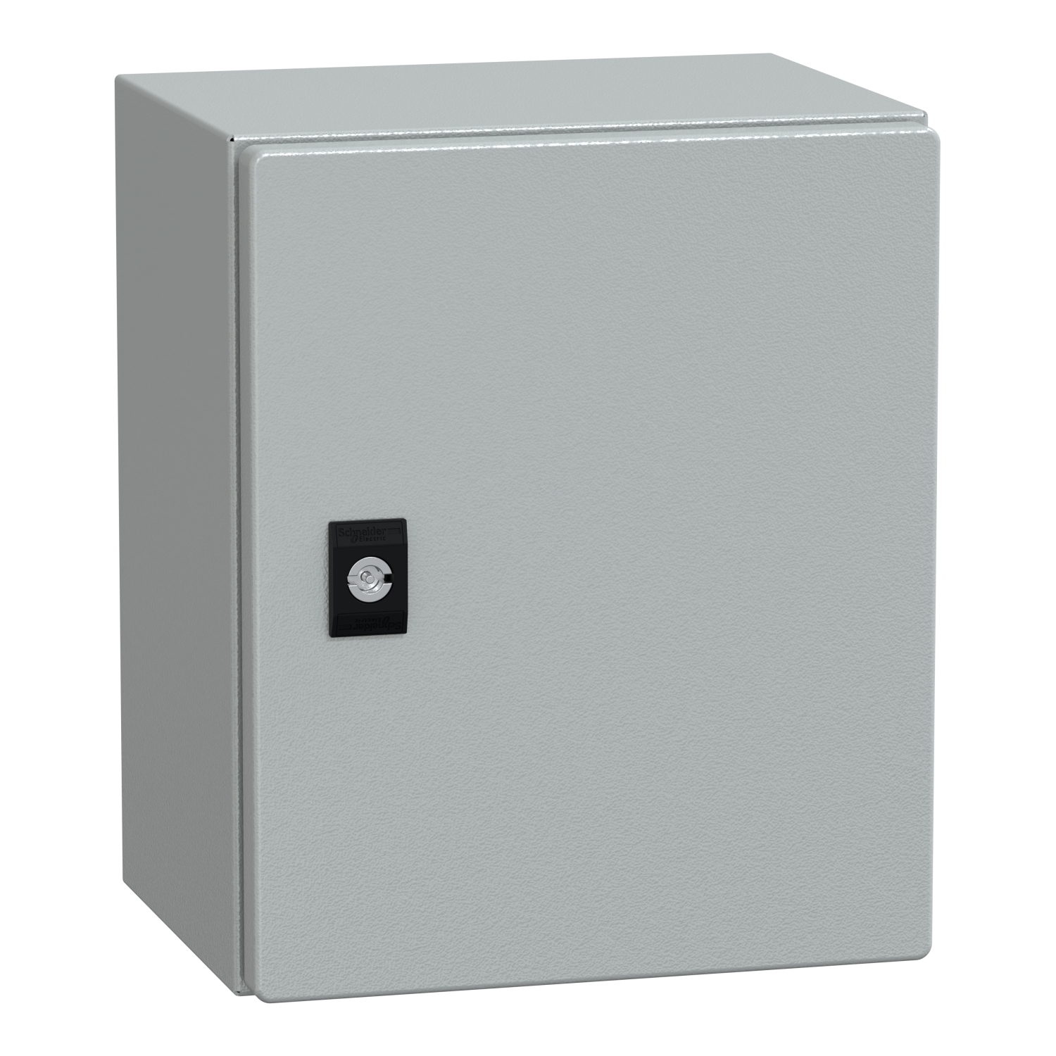 NSYCRN325200 Spacial Plain Door, 250 mm W x 200 mm D x 300 mm H, Steel