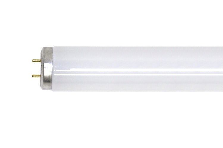 F30T12/CW/RS/ECO Linear Fluorescent Lamp, 30 W, G13 Lamp, 2200 Lumens, 60 CRI, 4100 K, 36 in L