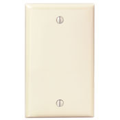 80714-I Standard Size Blank Wall Plate, 1 Gangs, 2-3/4 in W x 4-1/2 in H, Thermoplastic Nylon, Ivory