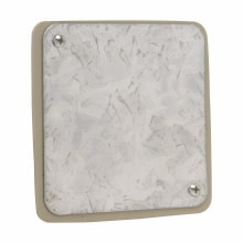 TP850 Thepitt Flat Cover With 2-3/4 in Ears, 4 in Dia, Blank Cover, Steel
