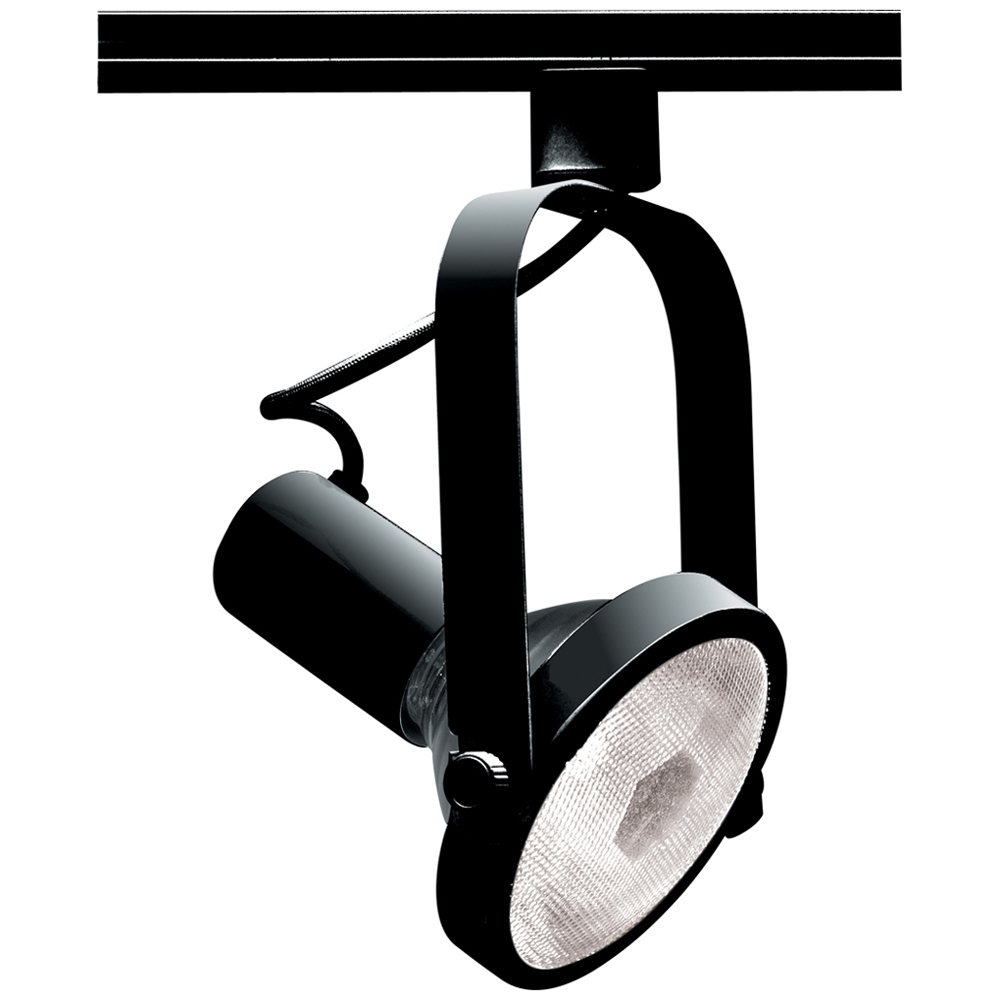 TH223 Transitional Track Lighting Head, Incandescent Lamp, 75 W Fixture, 120 V AC, Gimbal Ring Head, 10-1/2 in Max Extension