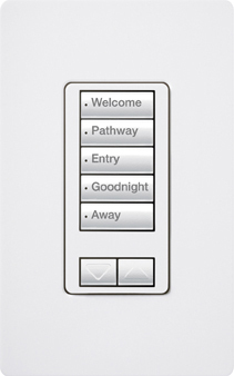 RRD-W5BRL-MN seeTouch LED+ Wall Keypad for RA3 Systems, 5-Button with Raise/Lower, Neutral Required, 120V, Midnight