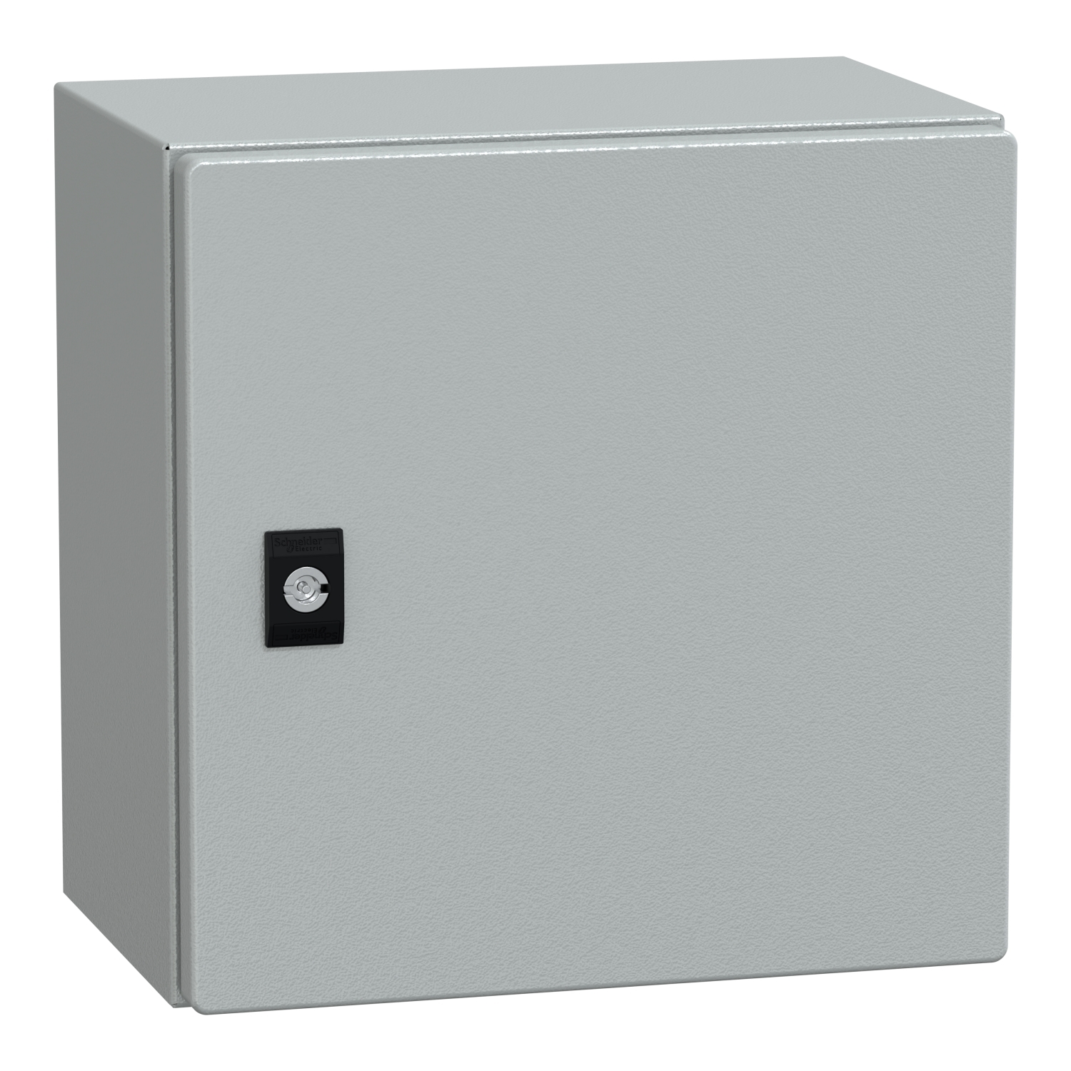 NSYCRN33200 Spacial Plain Door, 300 mm W x 200 mm D x 300 mm H, Steel