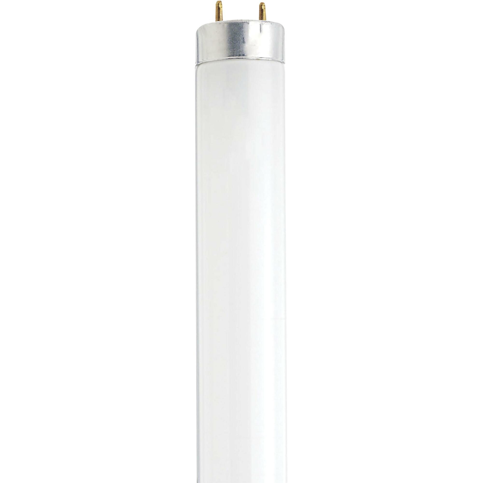 S7920 Linear Light Bulb, 13 W, G13 Lamp, 400 Lumens, 4100 K, 11.22 in L