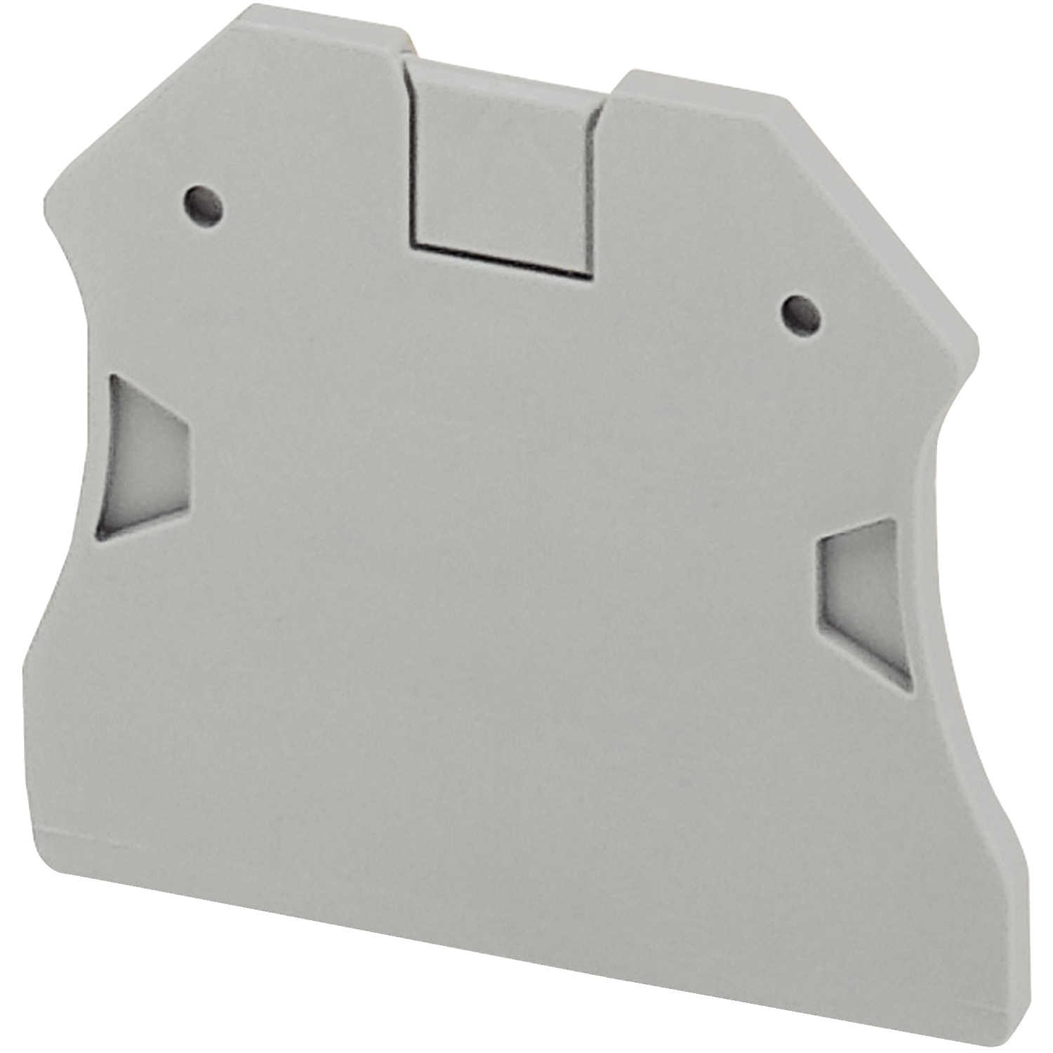 NSYTRAC22 End Cover Plate, For Use With Linergy TR Series 2-Point 2.5 to 10 sq-mm 1 x 1 in Single Level Screw Terminal Block, 2-Terminal, Gray