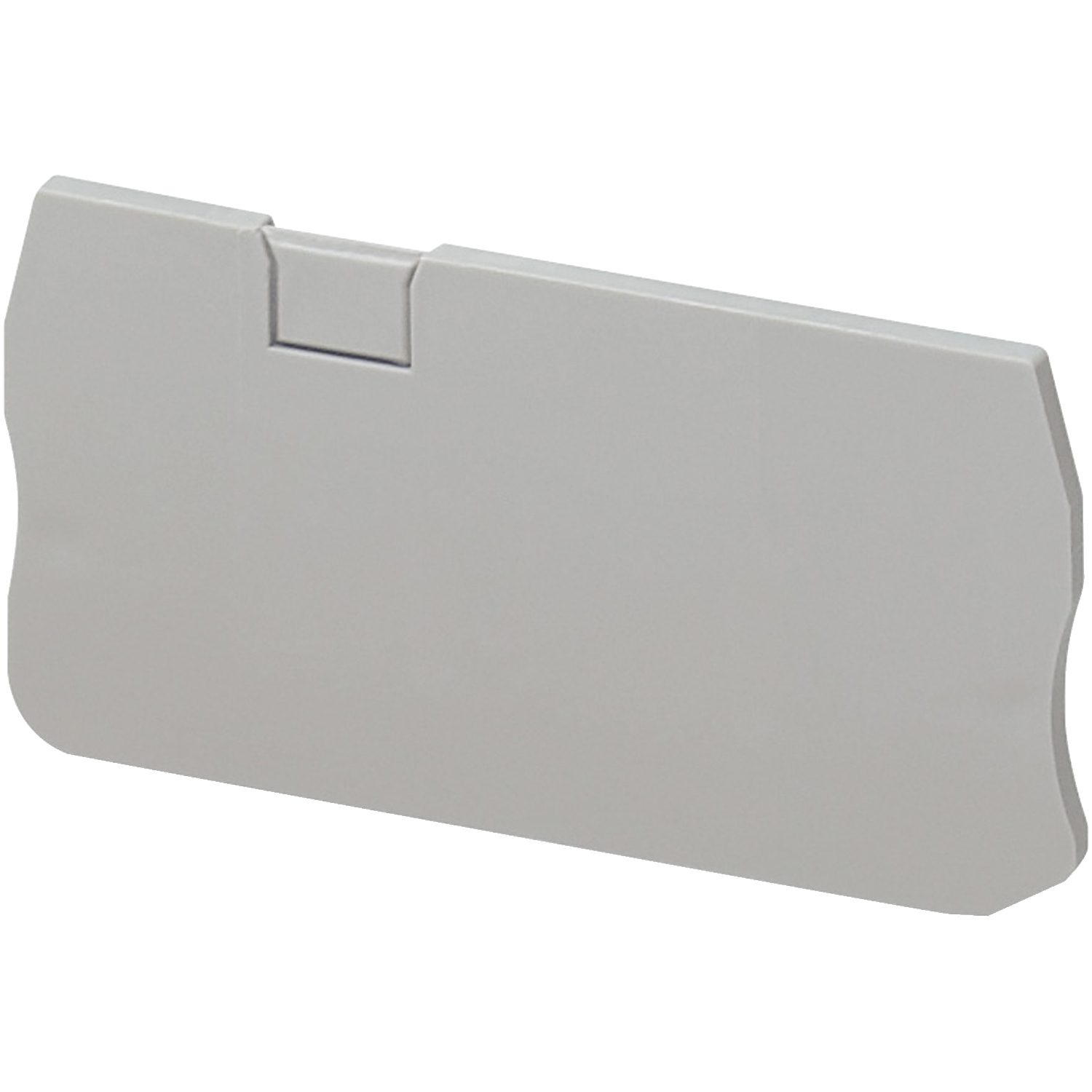 NSYTRACR23 Linergy End Cover Plate, For Use With TRA, NSYTRR23 and NSYTRR22 2.5 sq-mm Spring Terminal Block, 3-Points, Gray