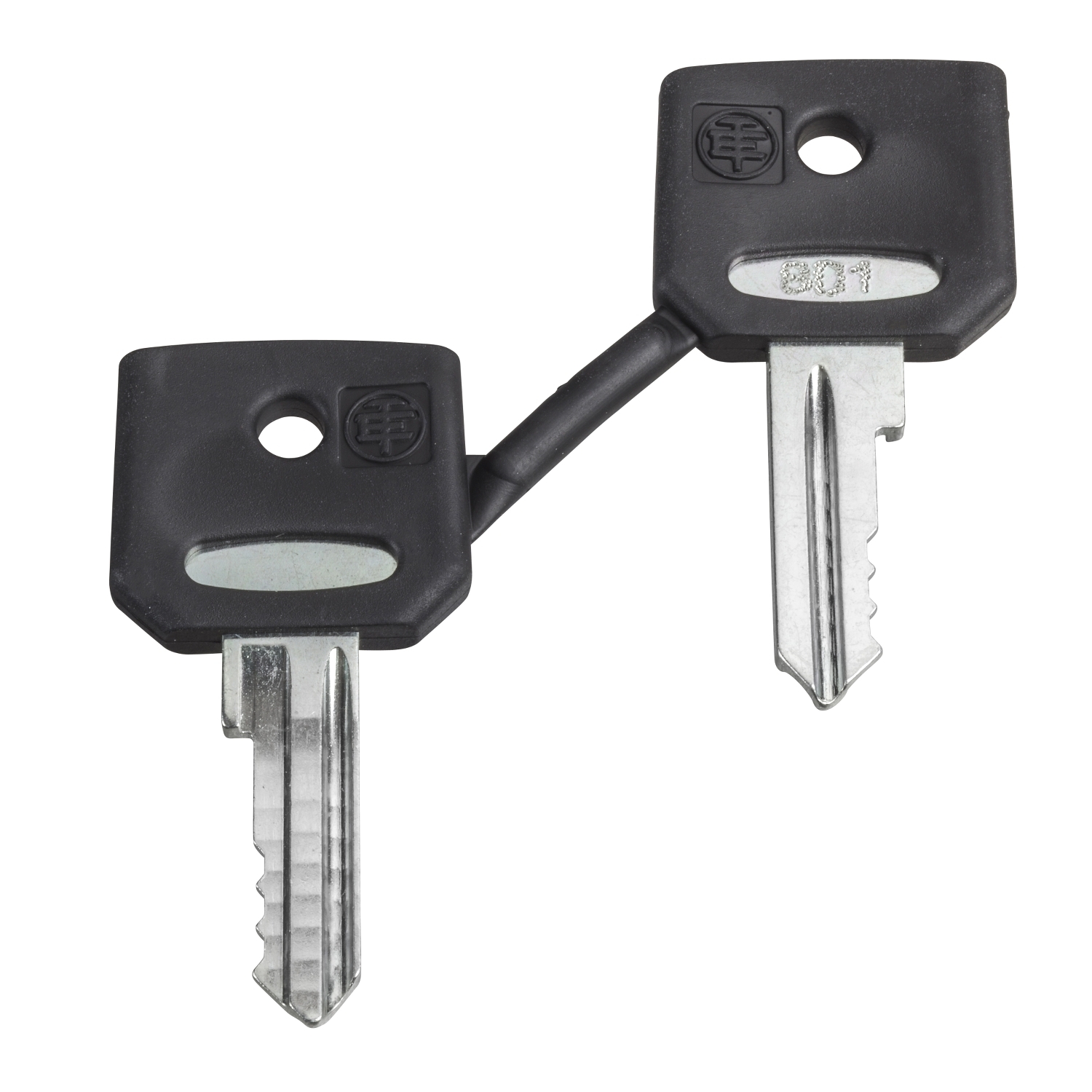 ZBG3131A Replacement Key, Ronis Key