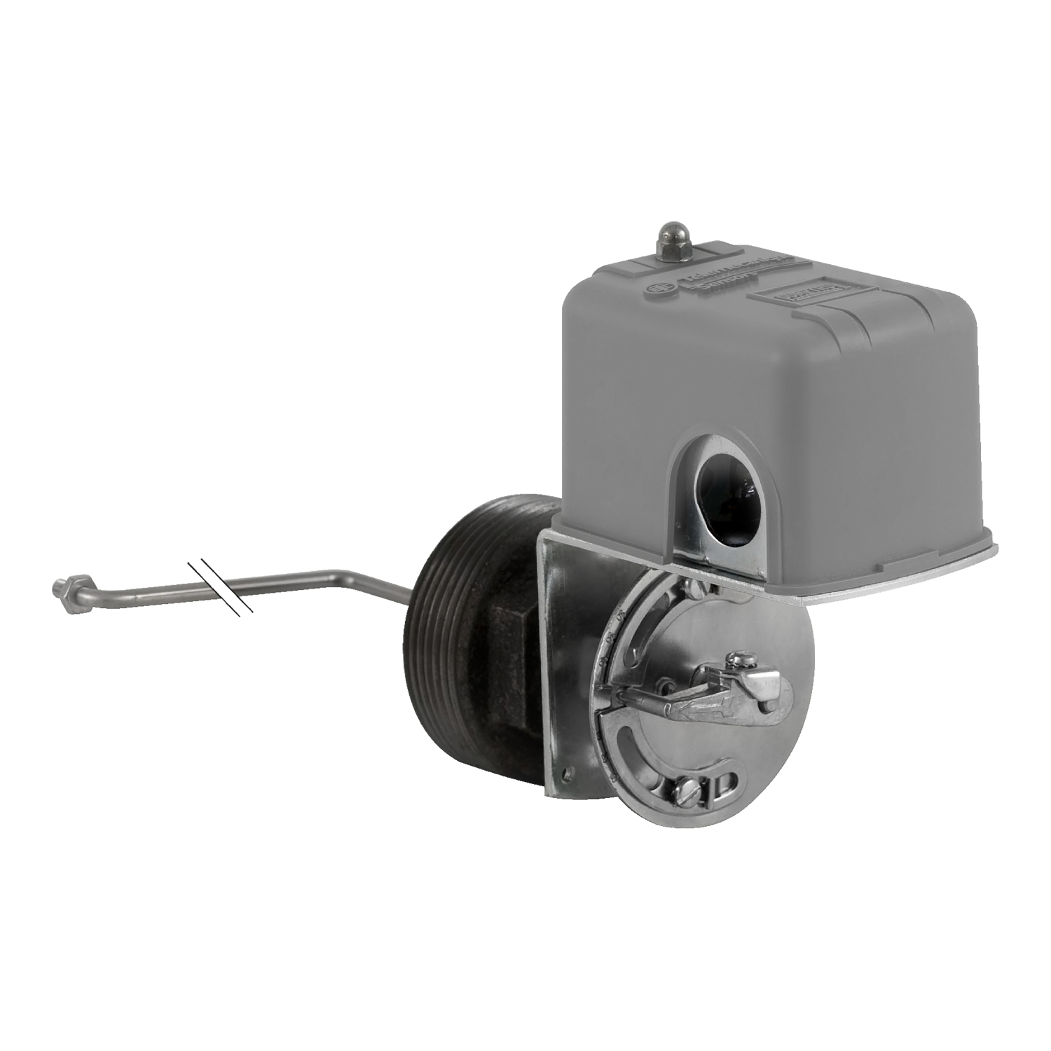 9037HG32LZ20 Type H Float Switch, DPST Output, 575 V AC