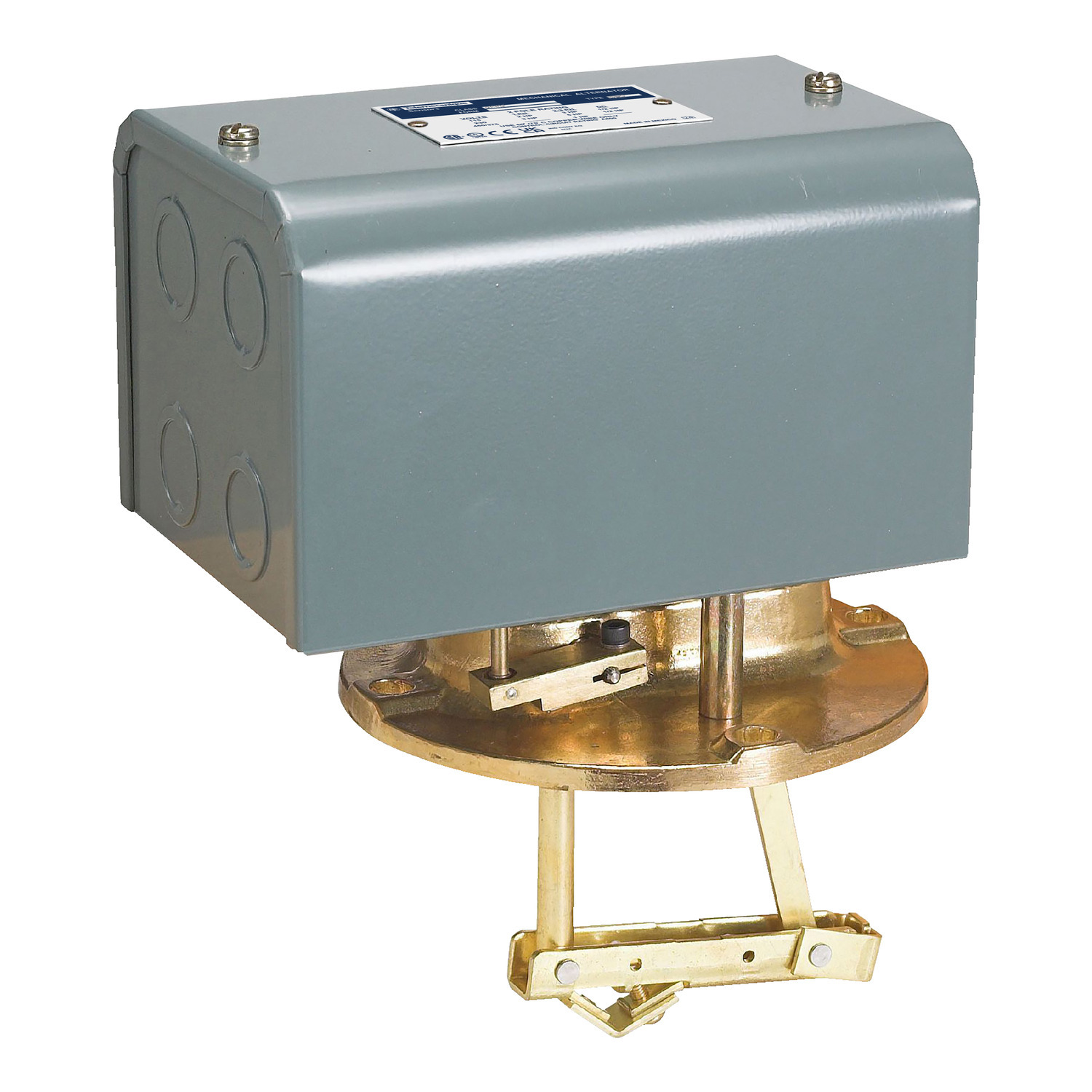 9038DG9 Type D Float Switch, 575 V AC