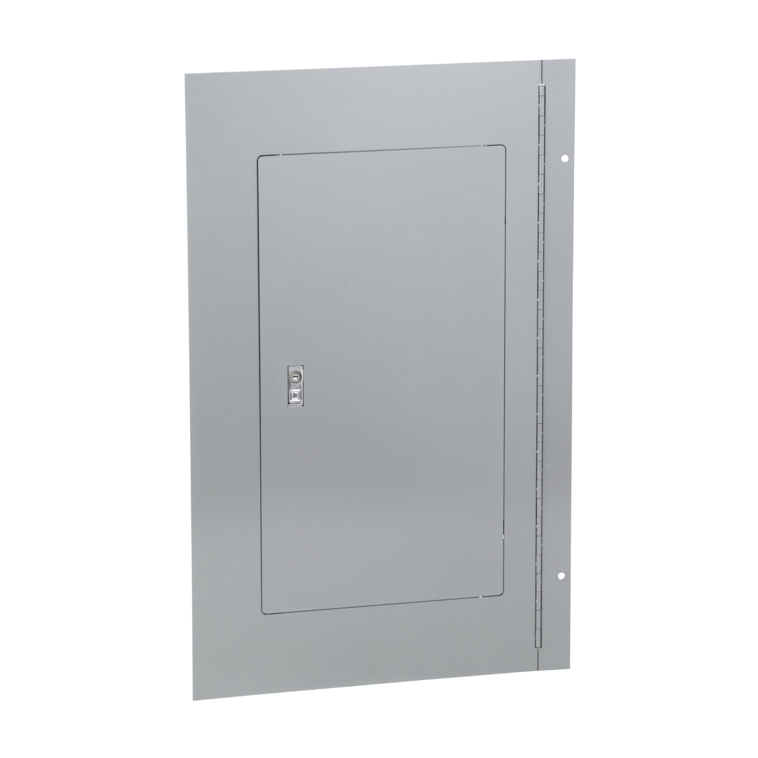 NC32SHR Mono-Flat Type 1 Hinged Cover/Trim Kit, 32 in L x 20 in W, For Use With NQ/NF Series 240 V AC Lighting Panelboard, Steel, Surface Mount