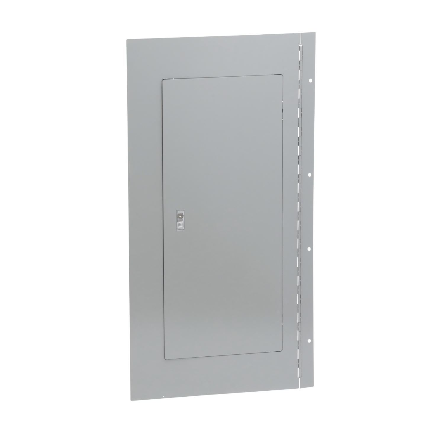 NC38SHR Type 1 Hinged Cover/Trim Kit, 38 in L x 20 in W, For Use With NQ/NF Series 240 V AC Lighting Panelboard, Steel, Surface Mount