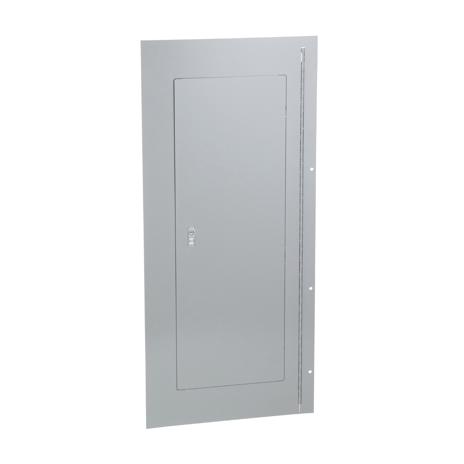 NC44SHR Type 1 Hinged Cover/Trim Kit, 44 in L x 20 in W, For Use With NQ/NF Series 240 V AC Lighting Panelboard, Steel, Surface Mount