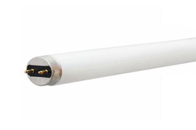F25T8/SP41/ECO Linear Fluorescent Lamp, 25 W, G13 Lamp, 2080 Lumens, 78 CRI, 4100 K, 35.78 in L