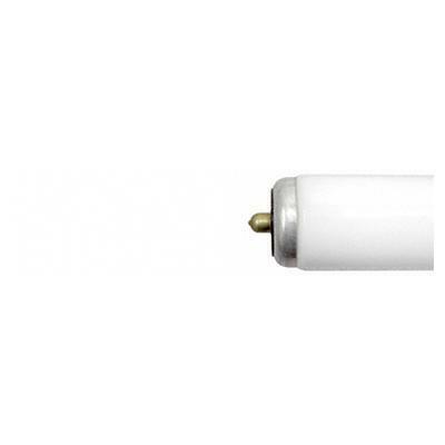 F96T12/C50 Linear Fluorescent Lamp, 75 W, 4600 Lumens Initial/4050 Lumens Mean, 90 CRI, 5000 K, 96 in L