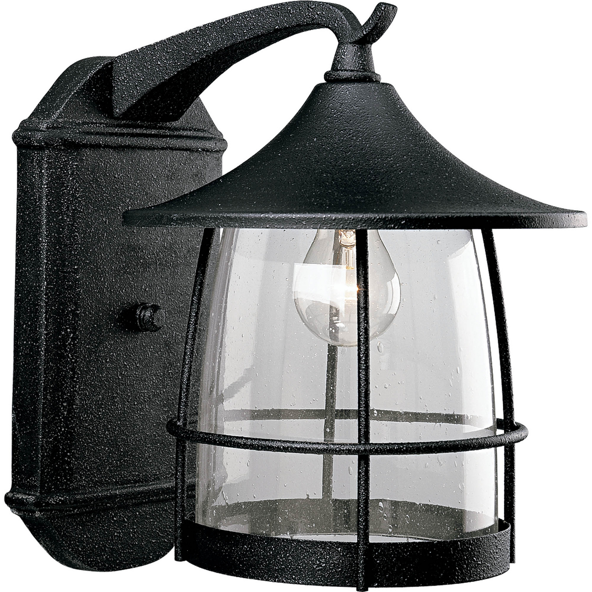 P5764-71 Prairie Casual/Traditional Large Transitional Wall Lantern, 100 W, E26 Incandescent Lamp