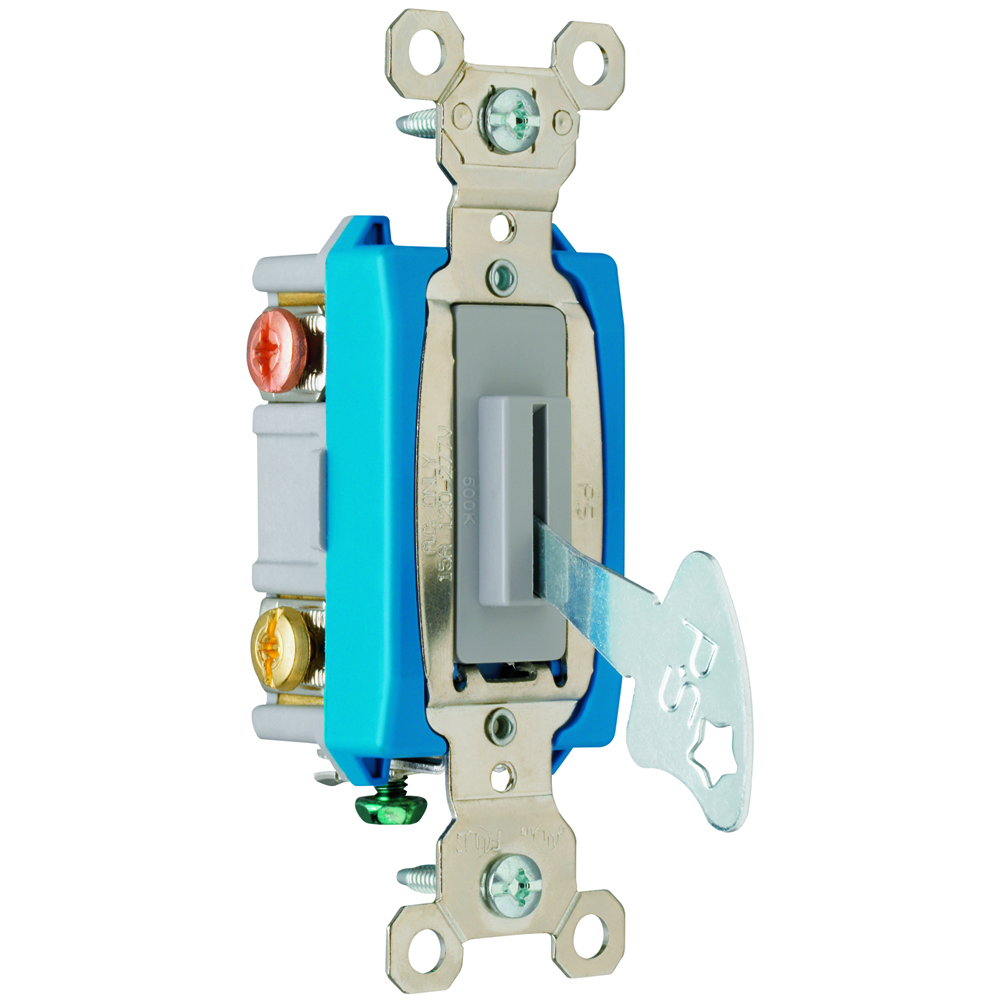 PS15AC3L Industrial Extra Heavy Duty Lock Switch, Back and Side Wire, Gray