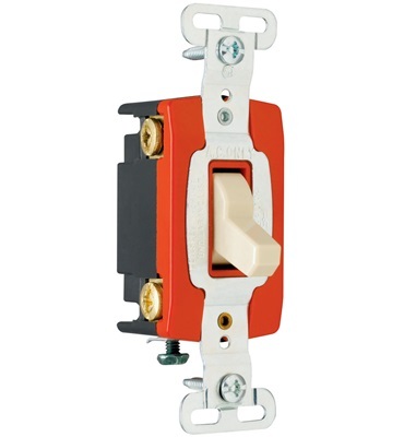 PS20AC4 Industrial Extra Heavy Duty Switch, Brown