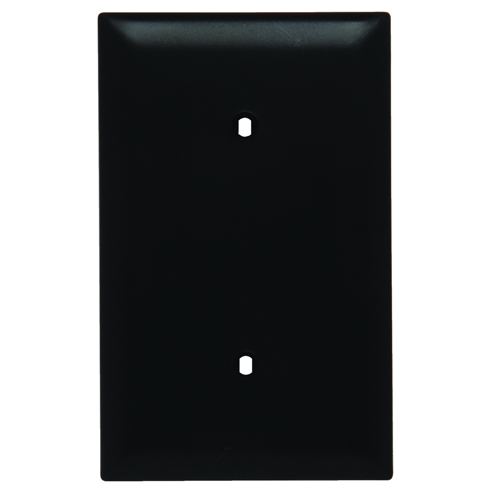 TP14 TradeMaster 1-Gang Nylon Wall Plate, Blank, Strap Mounted, Brown