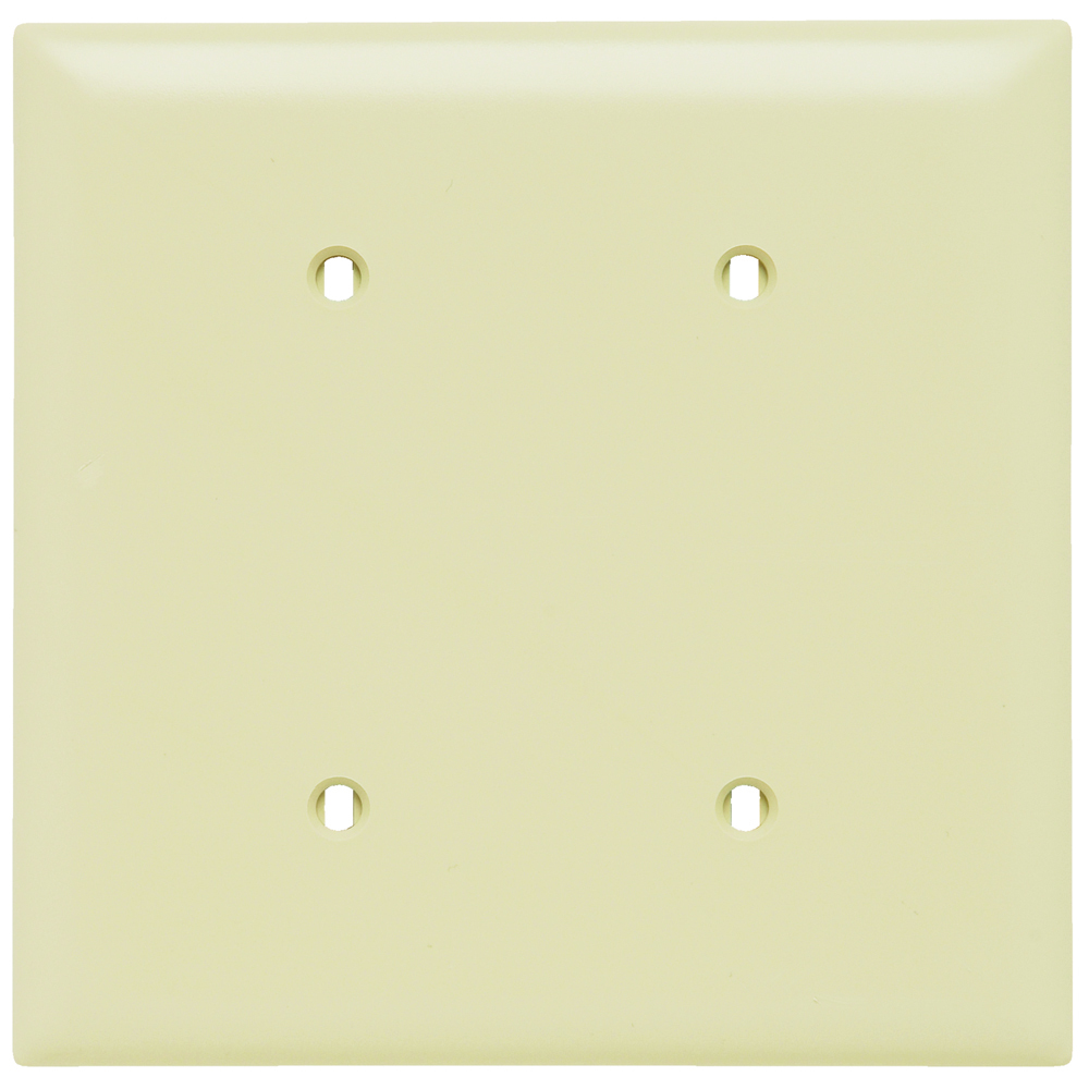 TP24I TradeMaster 2-Gang Nylon Wall Plate, Blank, Strap Mounted, Ivory