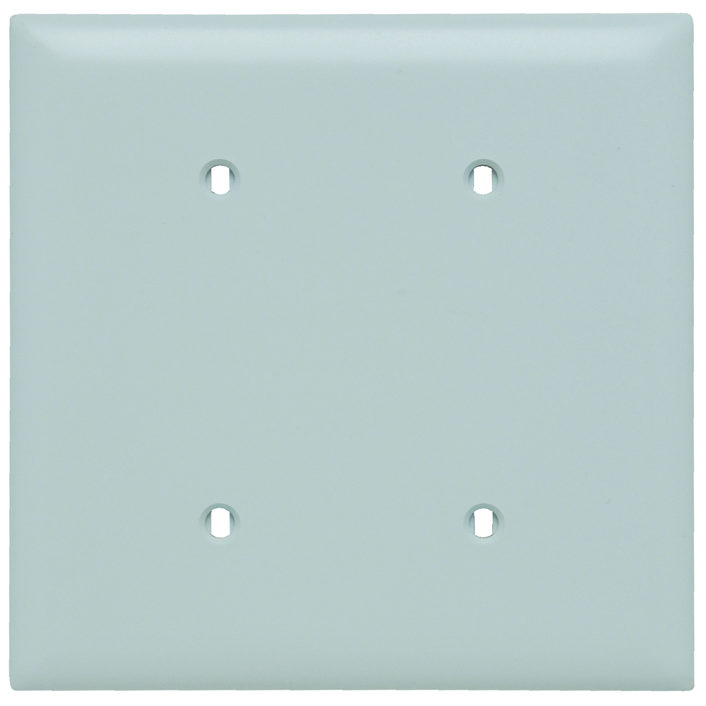 TP24W TradeMaster 2-Gang Nylon Wall Plate, Blank, Strap Mounted, White