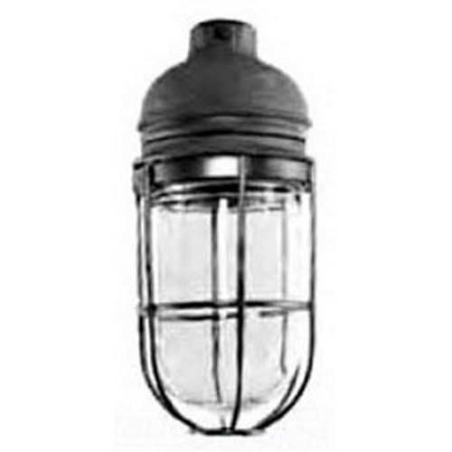 VA1050G-M Lighting Fixture With Guard, (1) A21 Lamp, 60 to 150 W Fixture, 150 V AC, Triple Coat Housing