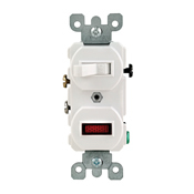 5336-I Duplex Grounding AC Combination Switch, 120/125 V AC, 20 A